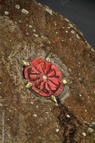 Lippische Rose auf einem Stein in Extertal-Bremke photo