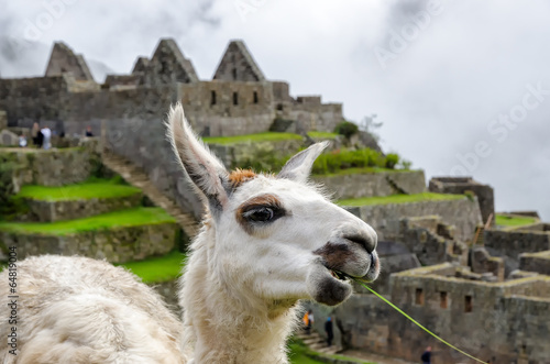 Machu Picchu photo