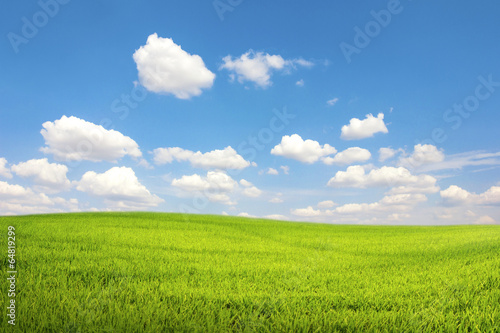 Green field with blue sky cloud © 29mokara