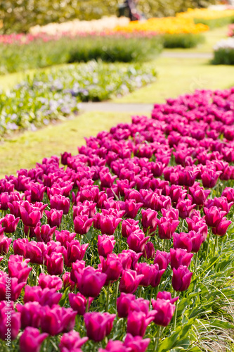 Wallpaper Mural spring garden Torontodigital.ca