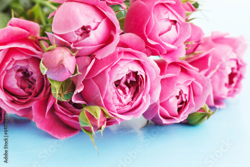 pink roses