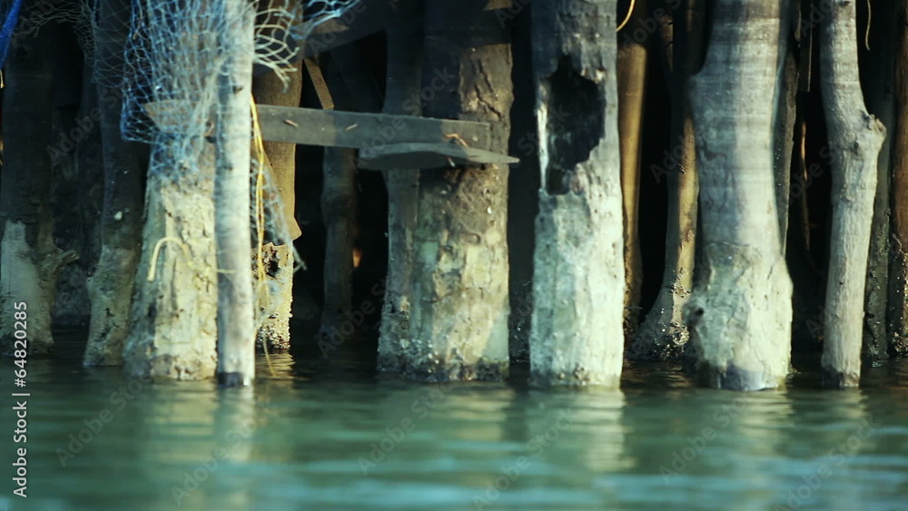 Camera motion at the surface of a water. Camera motion at the surface of a water.
