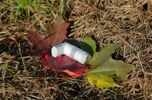 Inhaler lying on fallen leaves