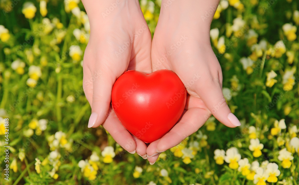 Heart shape in the female hands Heart shape in the female hands