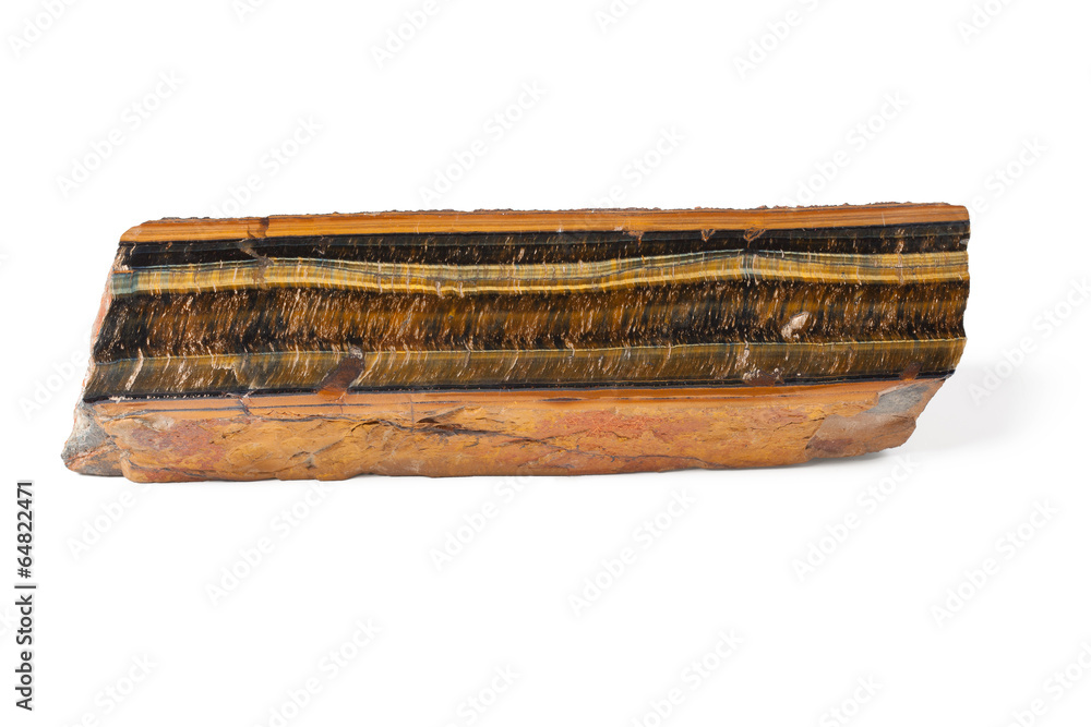 Fototapeta premium Long brown ammonite mineral