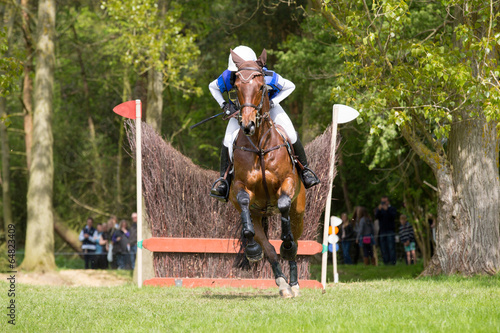 Horse and rider at a show jumping event