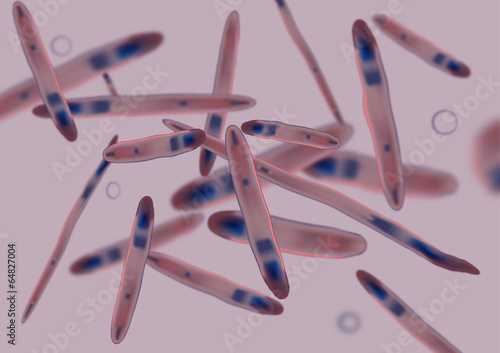 Pathogen