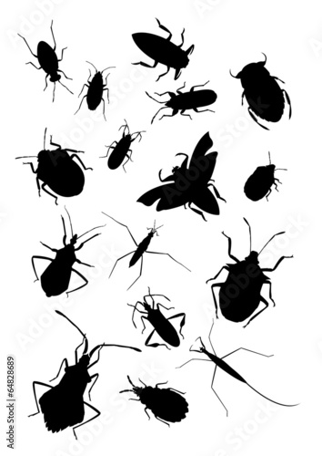 Collection of true bugs