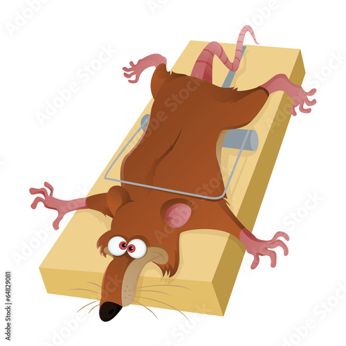 Rat in trap