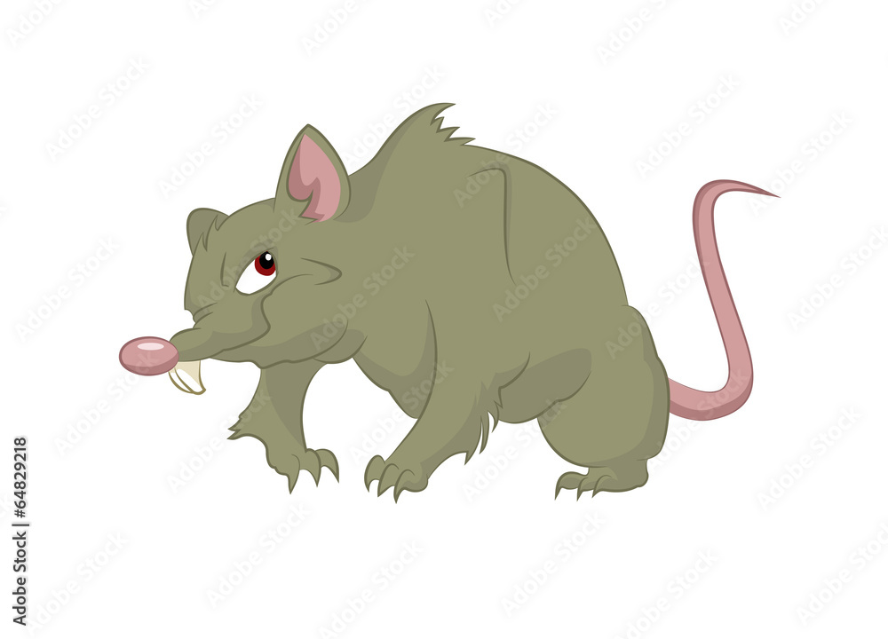 Obraz premium Big rat