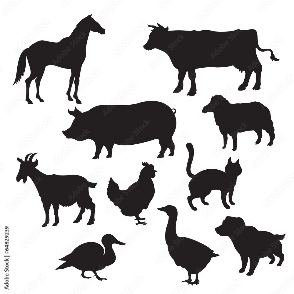 Silhouettes of domestic animals