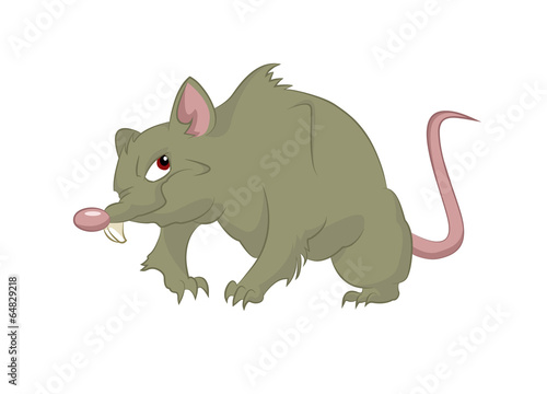 Big rat