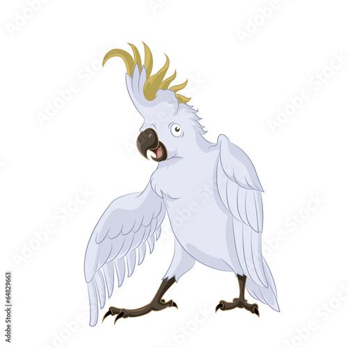 Cockatoo,