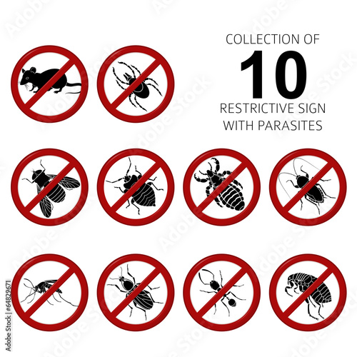 Collection of 10 parasites