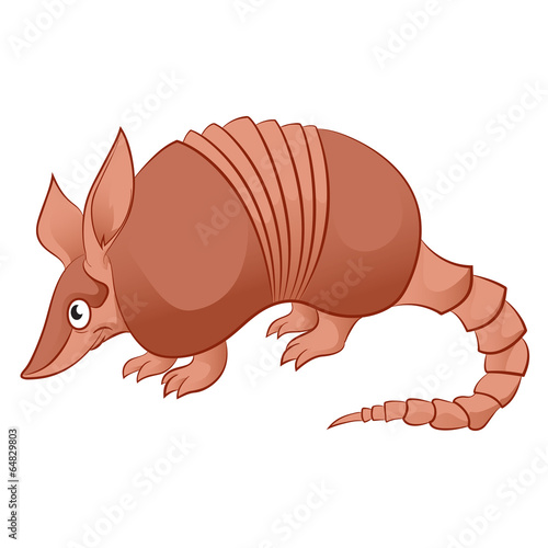 Armadillo