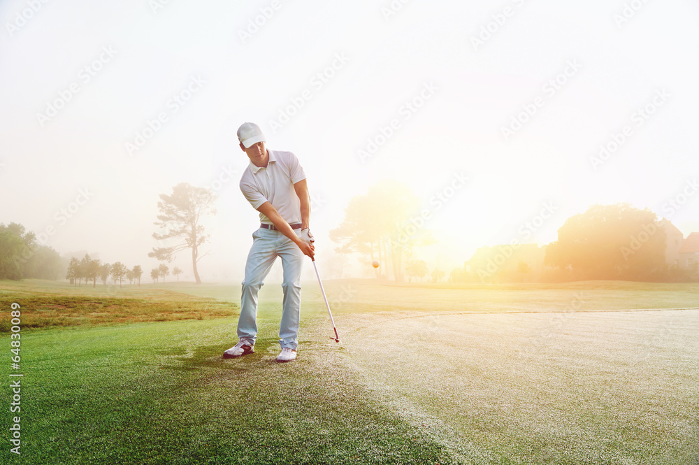 Картината върху платно Chip shot golf