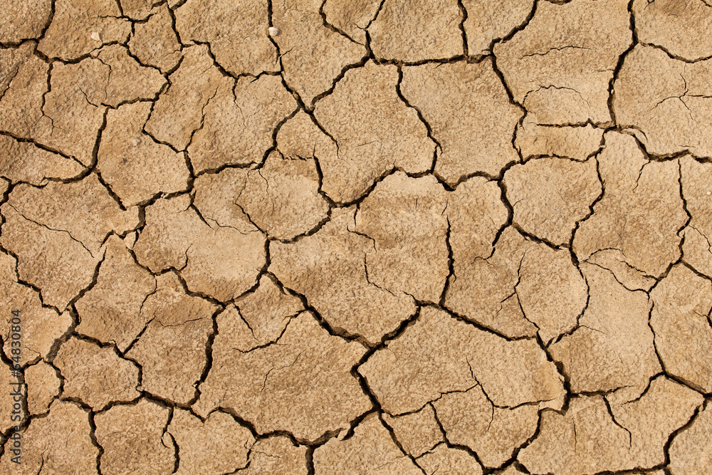 Cracked and dried mud texture Cracked and dried mud texture