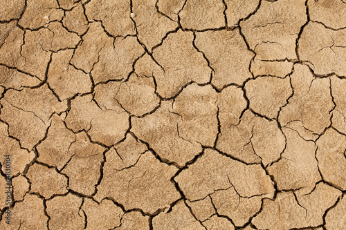 Cracked and dried mud texture