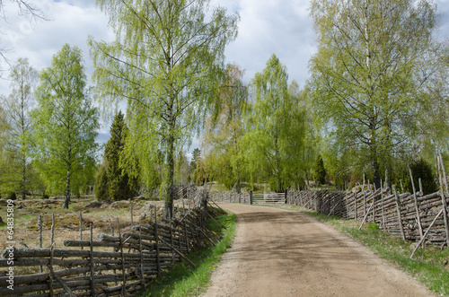 Old fashioned springtime view photo