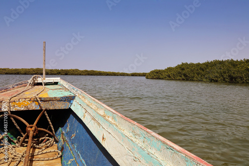 Parc national du delta du Sine Saloum (Sénégal) photo