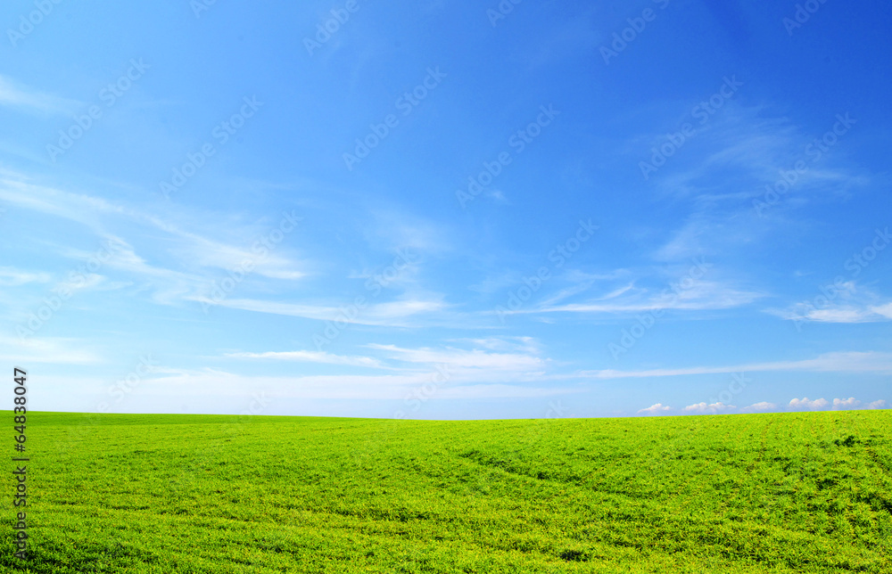 field field