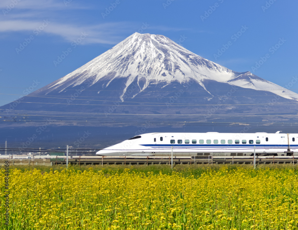 Obraz premium Shinkansen biegnący przez pole rzepaku