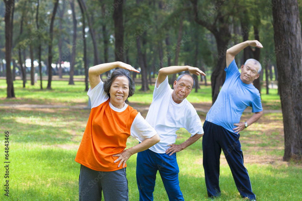 all seniors doing gymnastics in the park all seniors doing gymnastics in the park