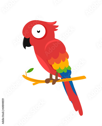 parrot