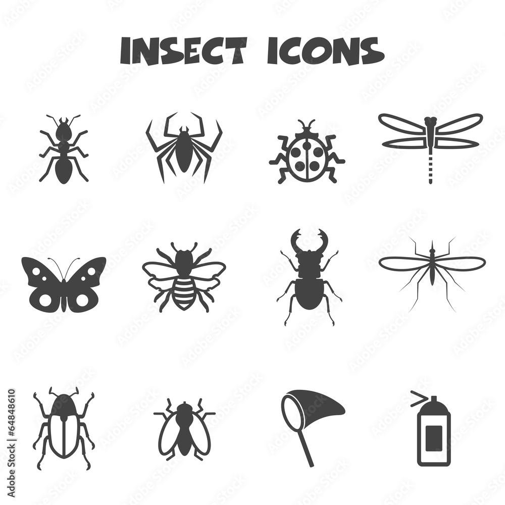 Fototapeta premium insect icons