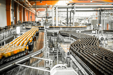 Beer bottles on the conveyor belt