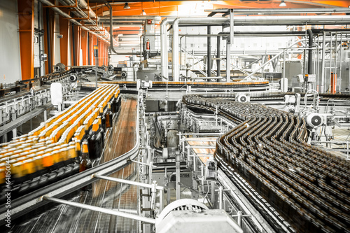 Beer bottles on the conveyor belt