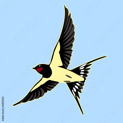 Barn Swallow bird