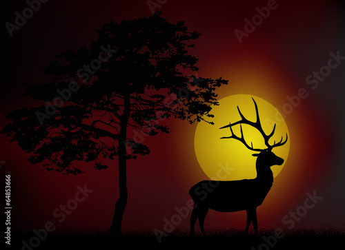 pine and deer silhouettes at red sunset