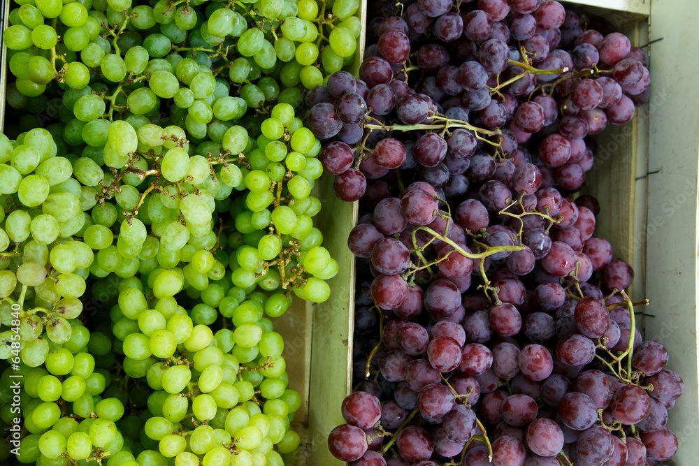 grapes grapes