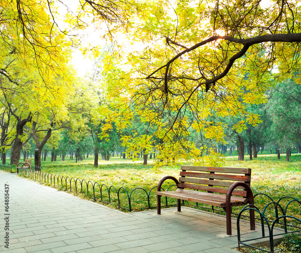 Fototapeta premium The Park Boulevard chair