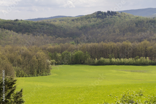 Wallpaper Mural hilly landscape Torontodigital.ca