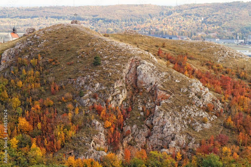 Landscape