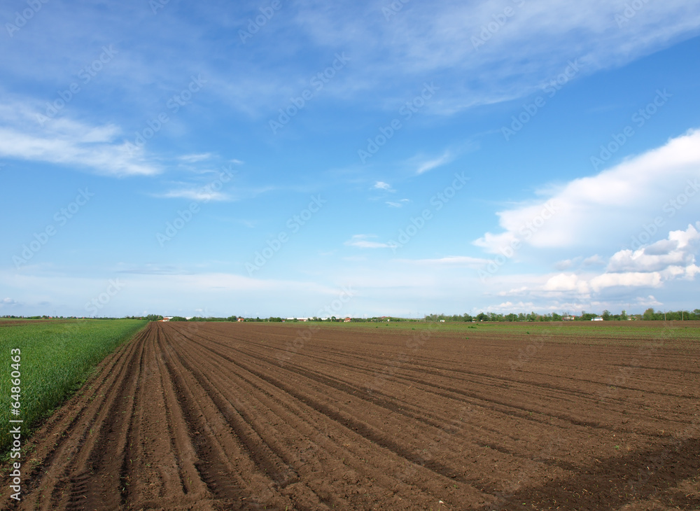 ploughed field