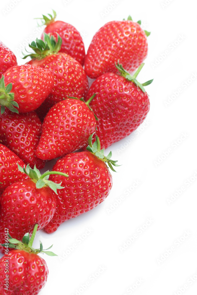 fragole_ sfondo bianco fragole_ sfondo bianco