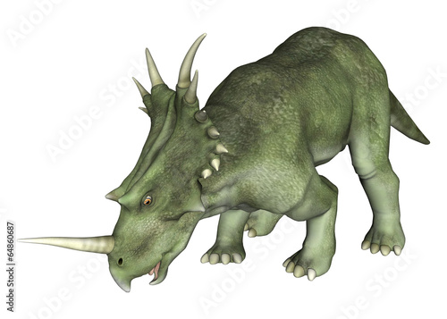 Drinking Dinosaur Styracosaurus