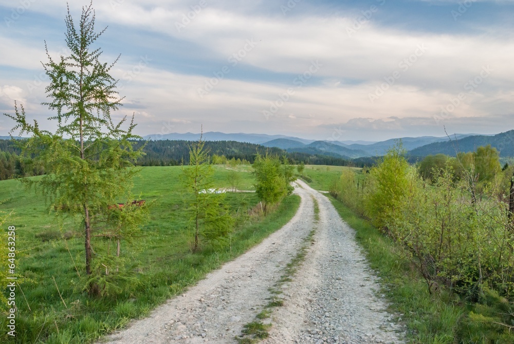 A gravel pathway in Bieszczady Mountains, Poland