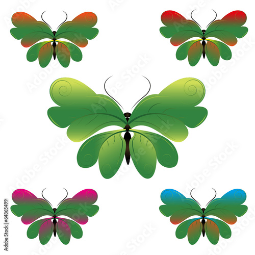 Schmetterling