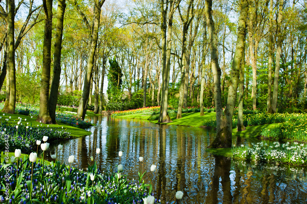 Spring garden landscape Spring garden landscape