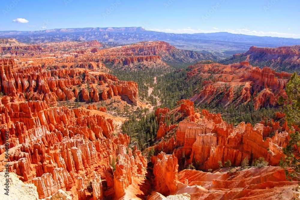 View over the hoodoos of Bryce Canyon National Park, USA - obrazy, fototapety, plakaty 