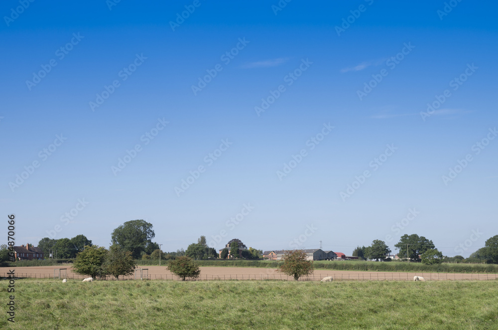 Fototapeta premium field