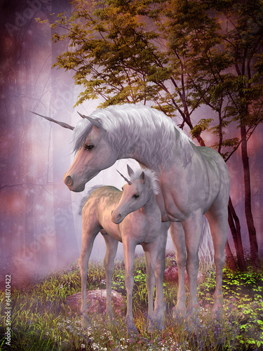 Slika na platnu Unicorn Mare and Foal