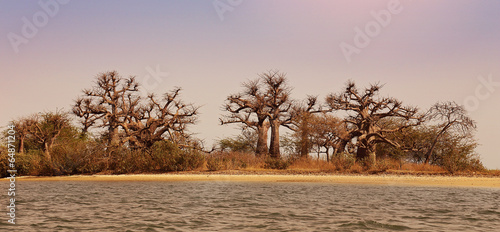 Canvas Print Parc national du delta du Sine Saloum (Sénégal)