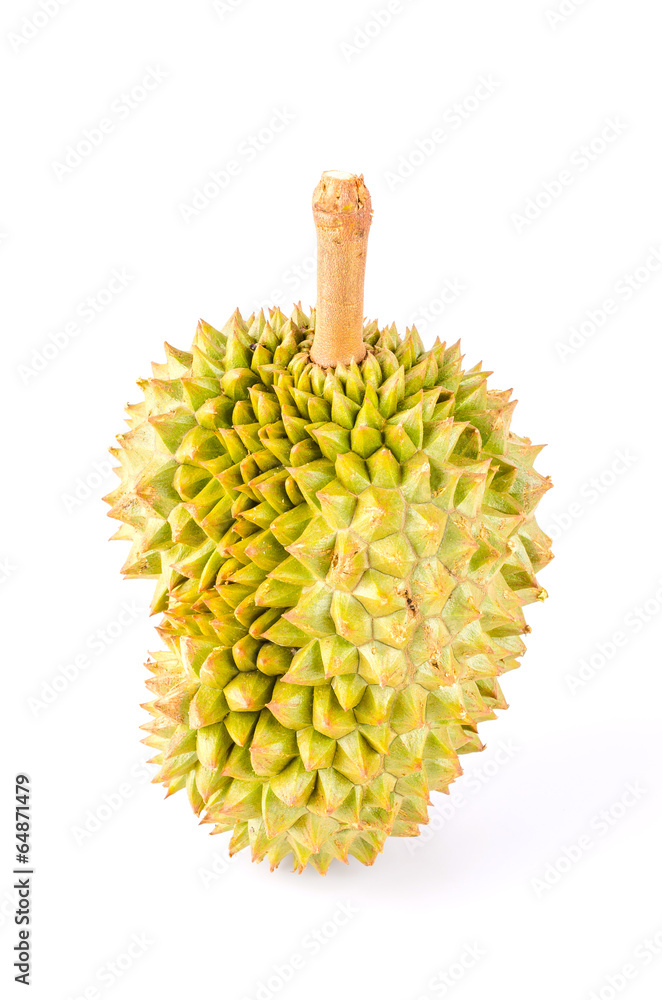 Durian fruit isolated white background Durian fruit isolated white background