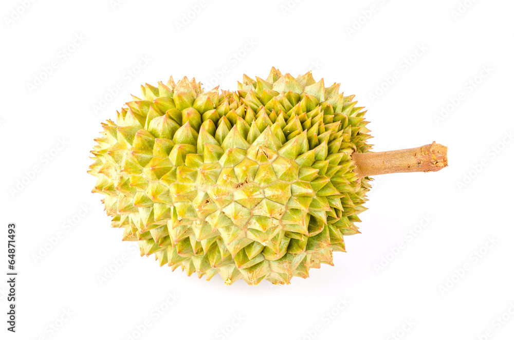 Durian fruit isolated white background Durian fruit isolated white background