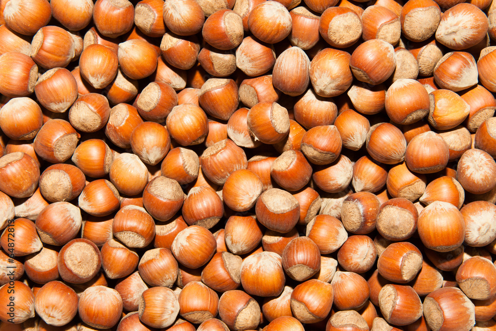 Hazelnuts Background Hazelnuts Background